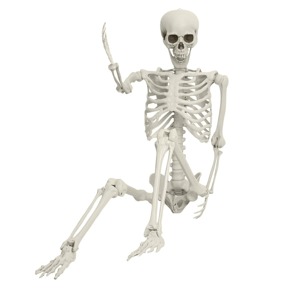 Life Size Imitation Skeleton with Posable Joints T533787