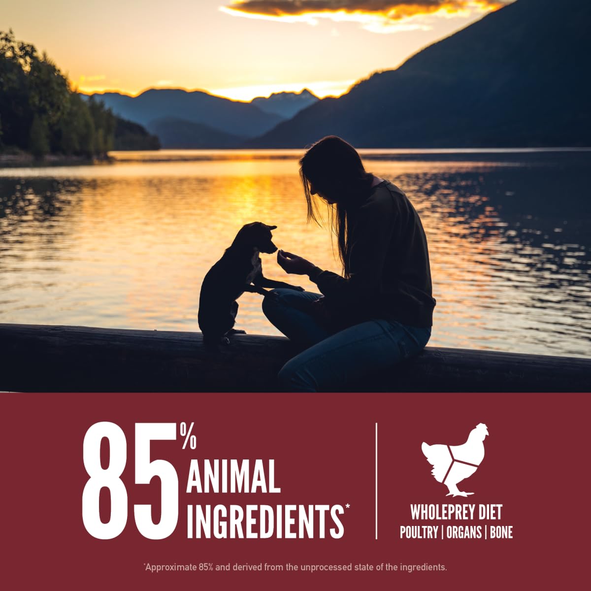 Grain Free Dry Dog Food 4lb Bag L266