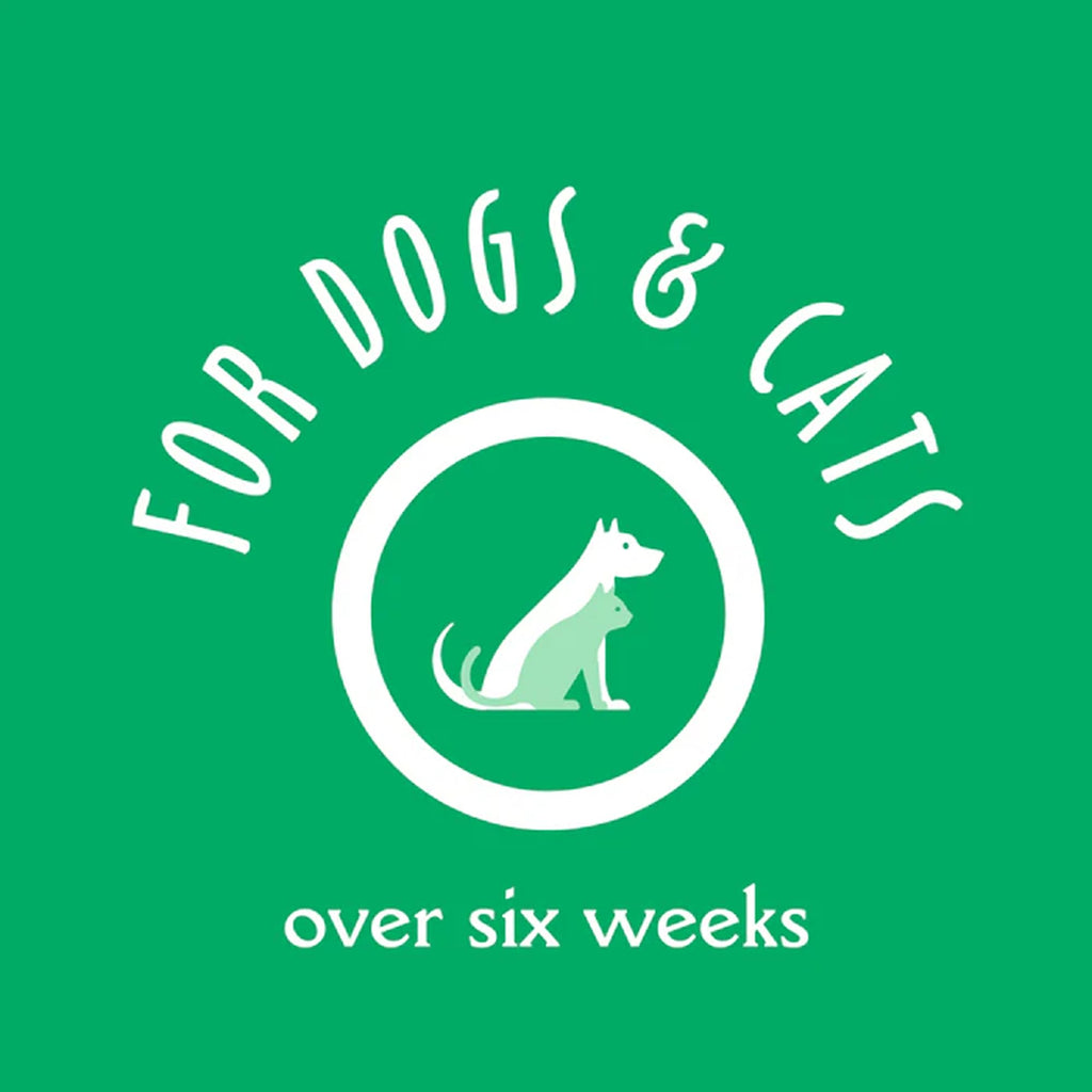 Oatmeal & Aloe Dog Shampoo, 16 Oz X802763