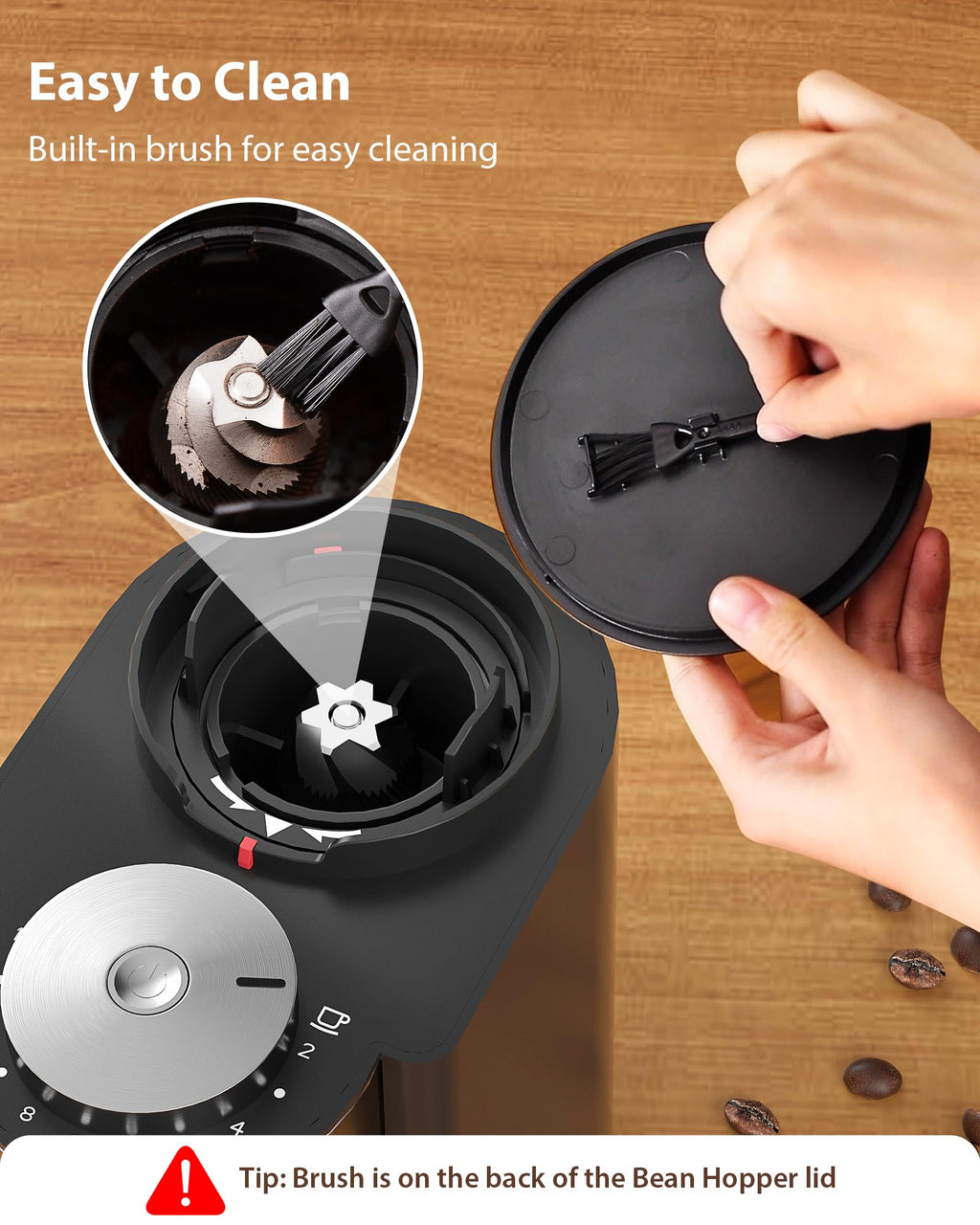 Black Burr Coffee Grinder T89443