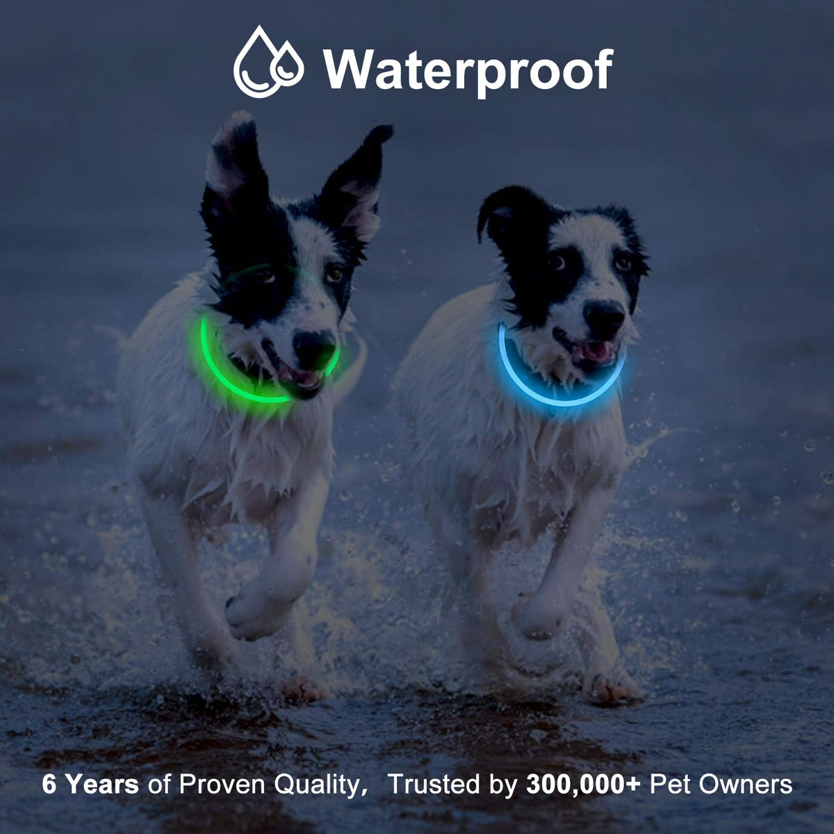 2-Pack Rechargeable LED Dog Collar Z3391