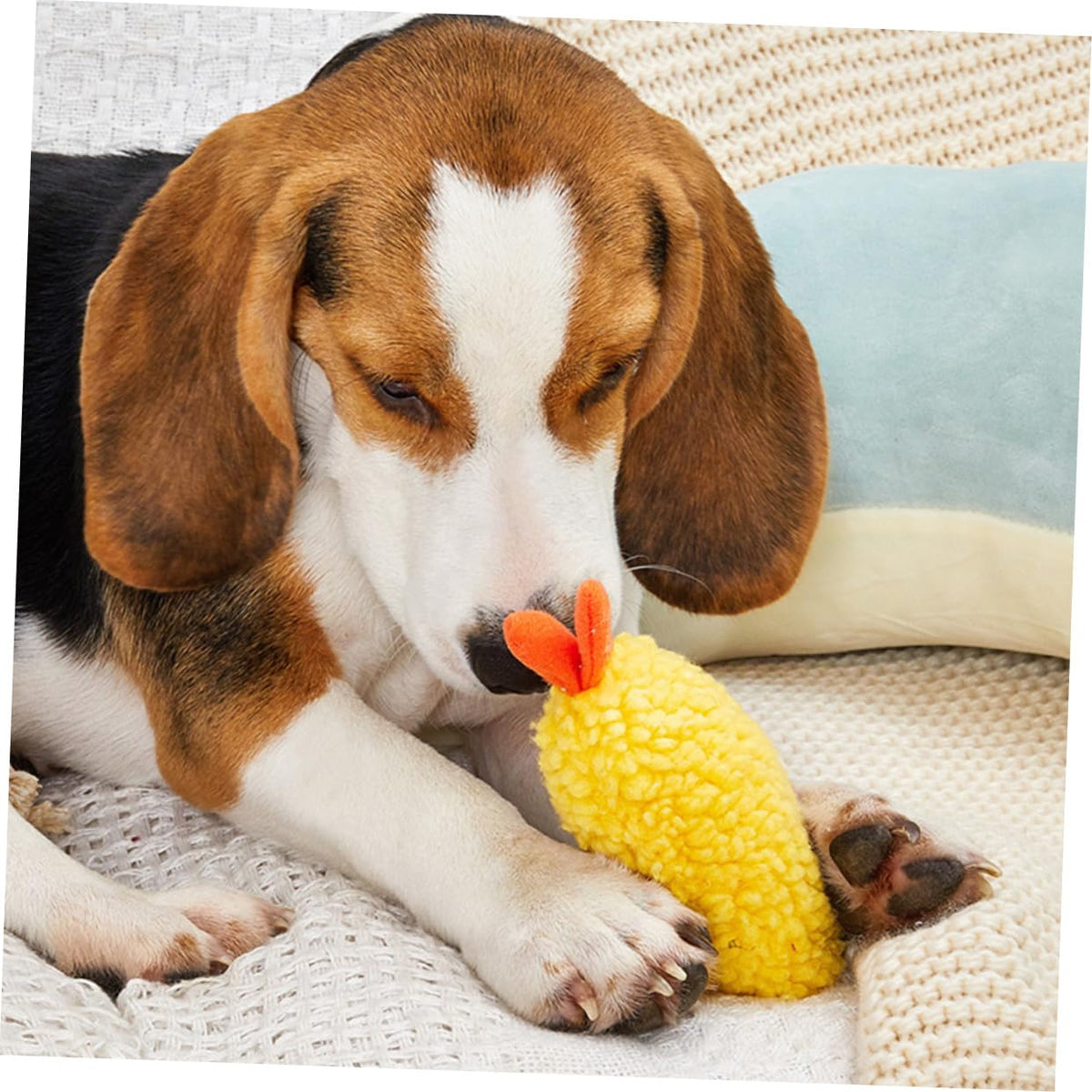 2 Pack Plush Squeaky Dog Toy T4683