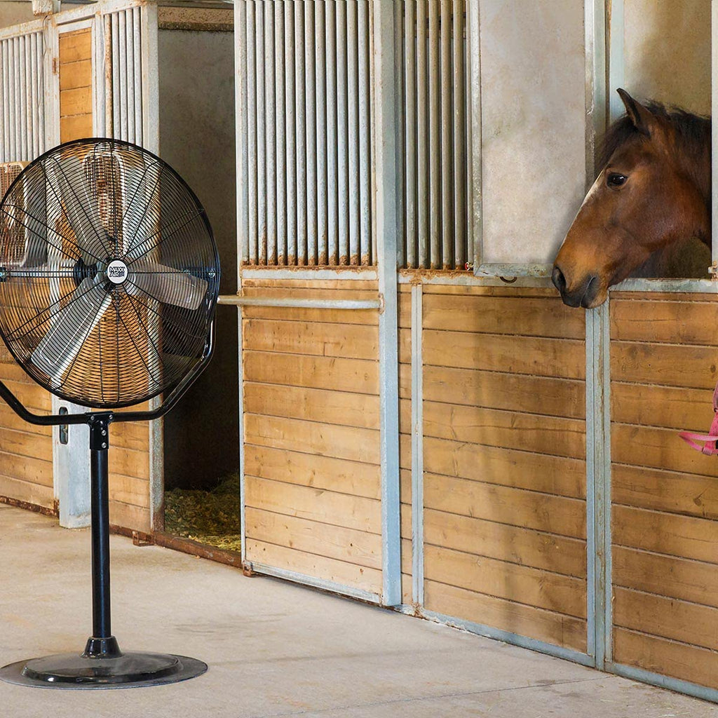 30" Heavy Duty Pedestal Fan L516532