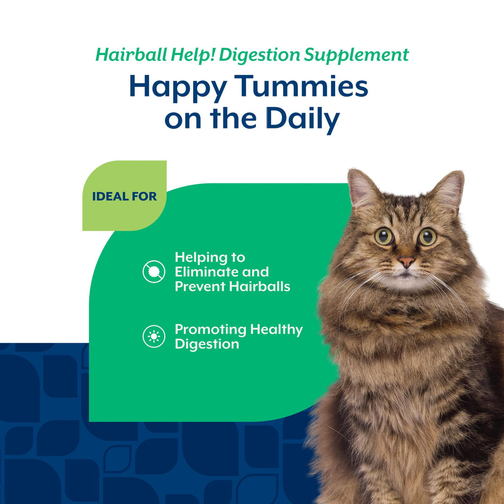 Hairball Aid Scoopable Supplement for Cats 5.5oz R9198