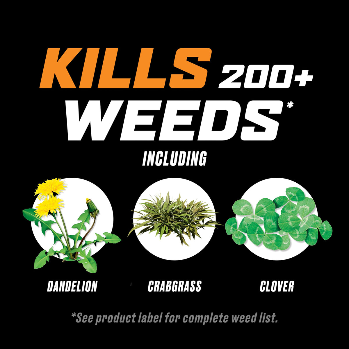 32 fl. oz. Concentrate Lawn Weed Killer D25587