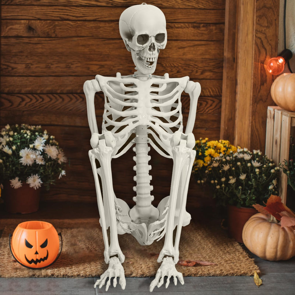 Life Size Imitation Skeleton with Posable Joints T533787