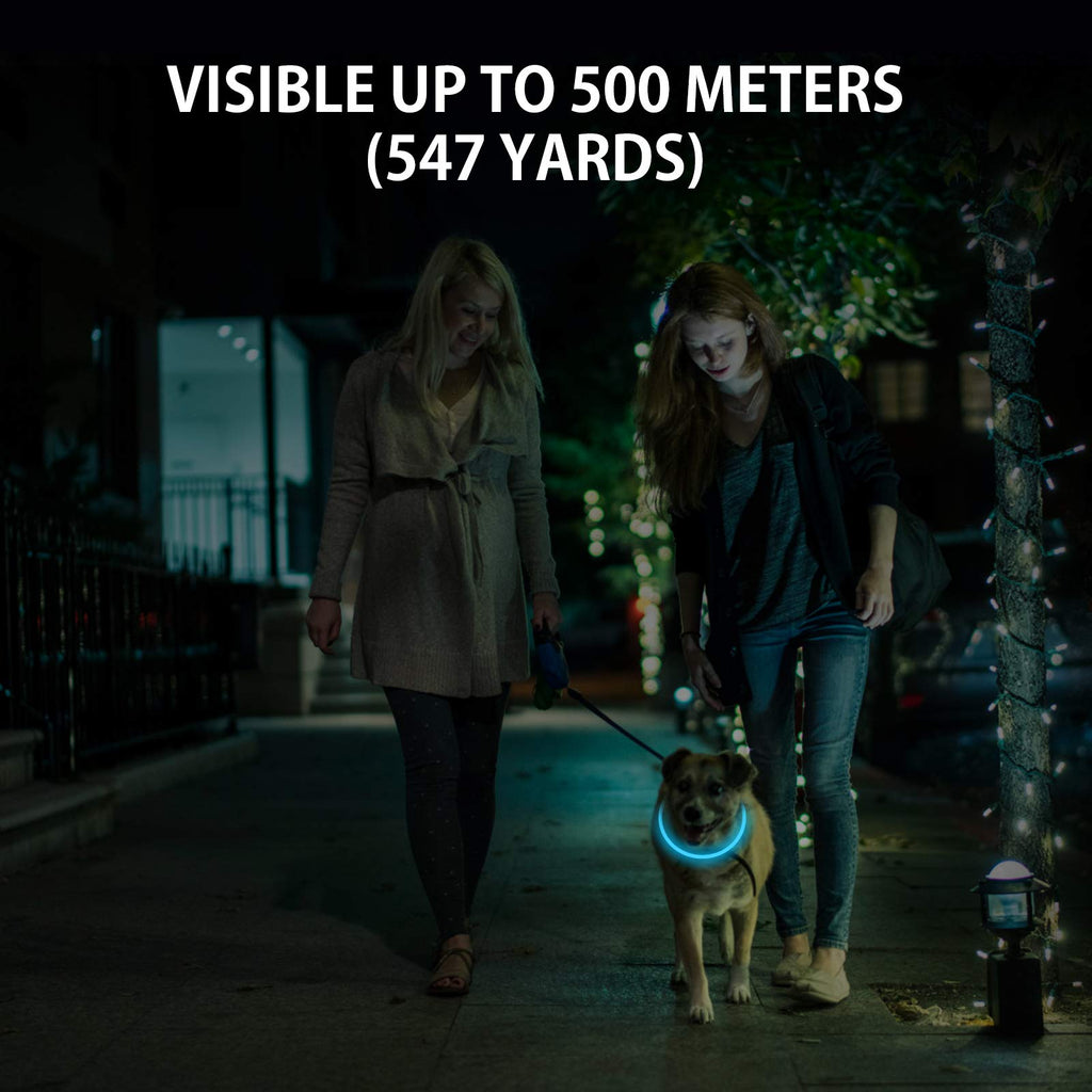 2-Pack Rechargeable LED Dog Collar Z3391