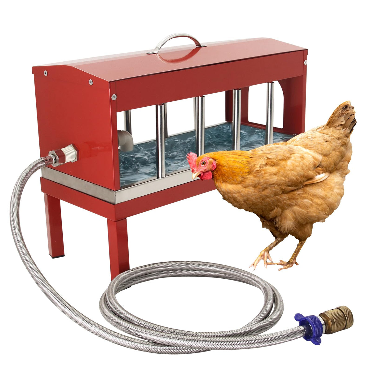 Automatic Chicken Waterer with Detachable Legs R493689
