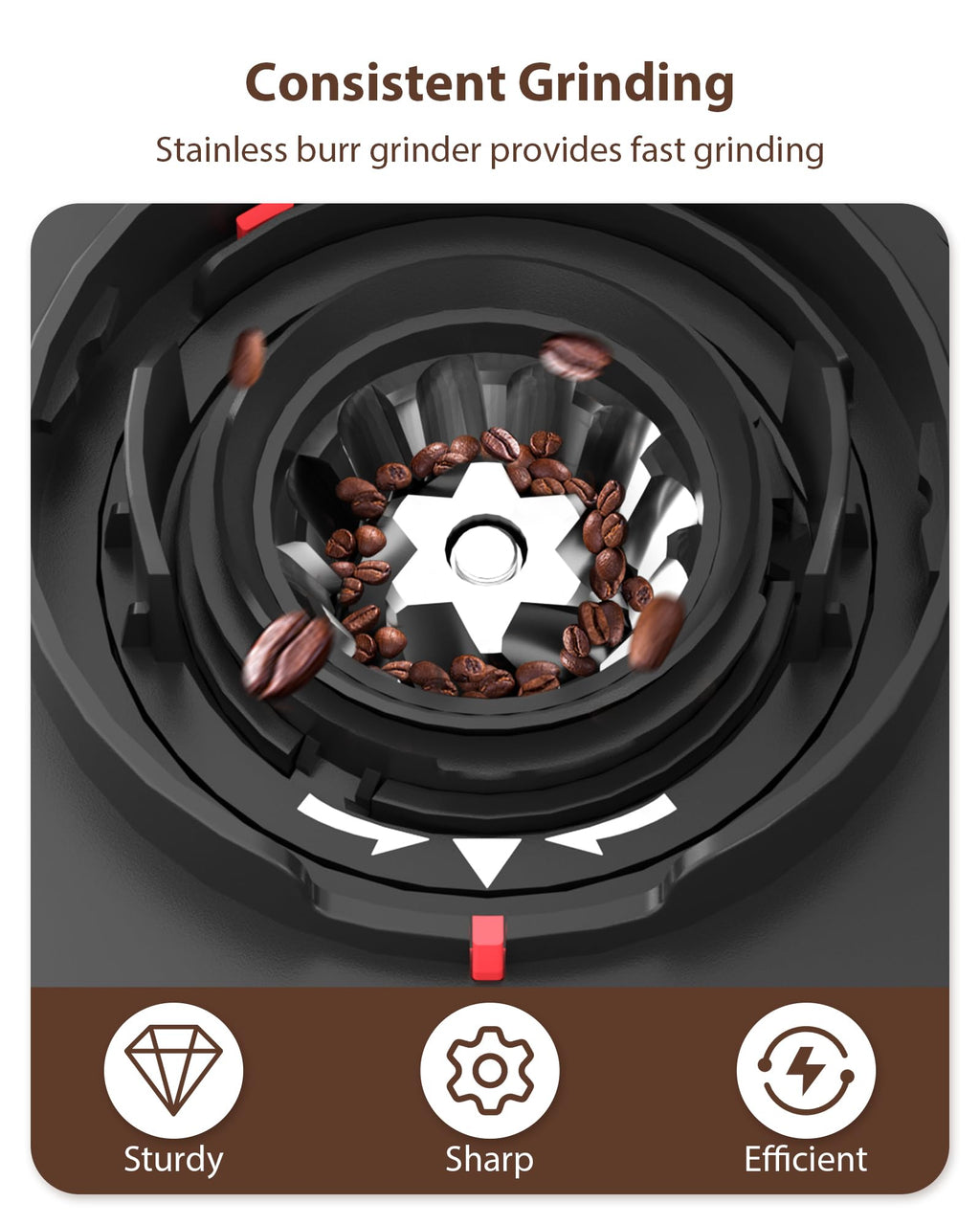 Black Burr Coffee Grinder T89443