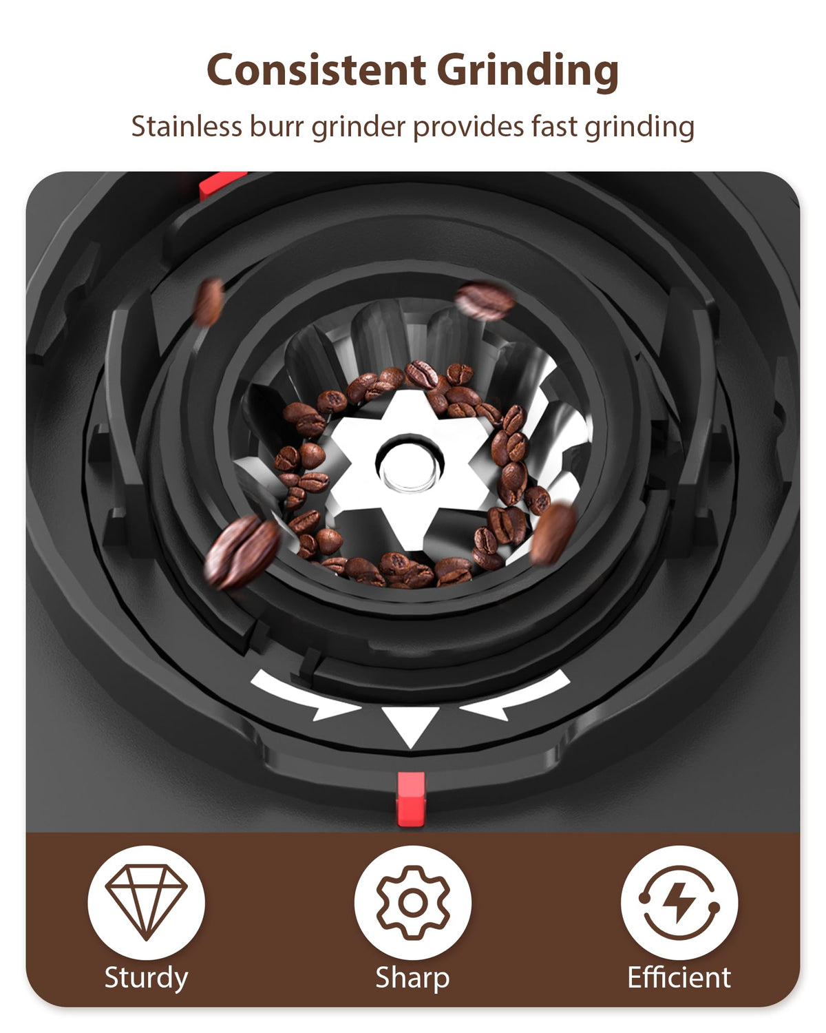 Black Burr Coffee Grinder T89443