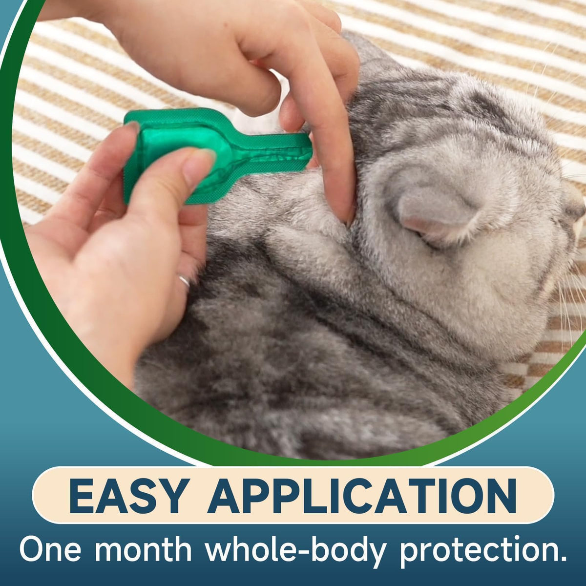 Cat Flea and Tick Treatment, 6 Doses X86342