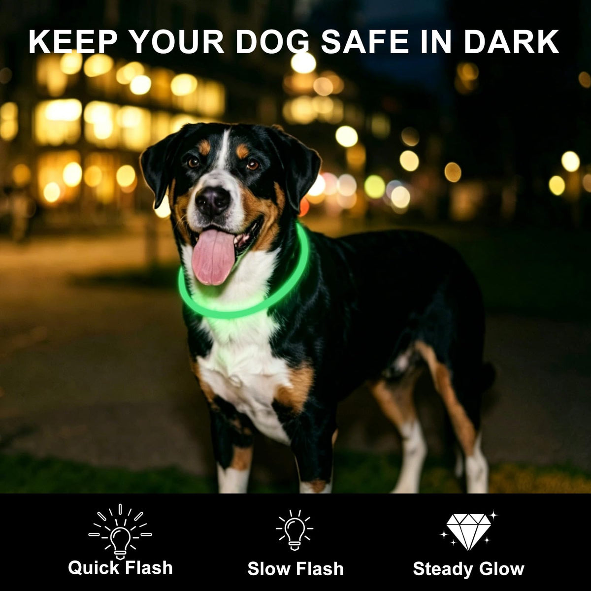 2-Pack Rechargeable LED Dog Collar Z3391