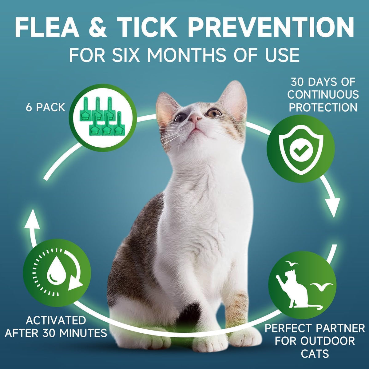 Cat Flea and Tick Treatment, 6 Doses X86342