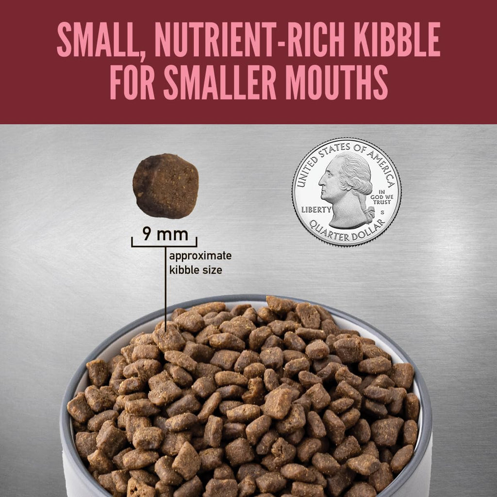 Grain Free Dry Dog Food 4lb Bag L266