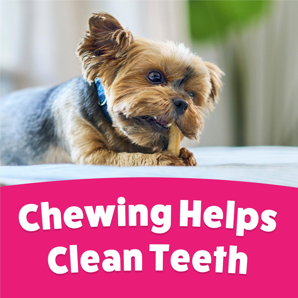 Dog Chew Treats 60 ct Pouch D764322