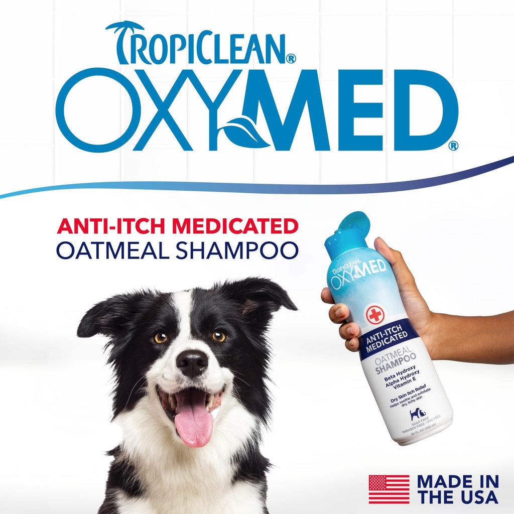 Medicated Dog Shampoo Oatmeal Formula 20oz E753161