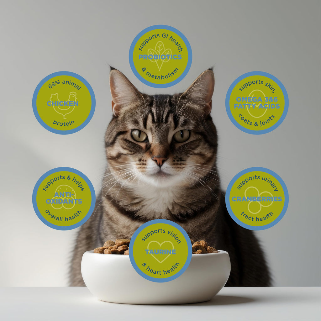 Dry Cat Food, Chicken Meal & Brown Rice, 4 lb F8190
