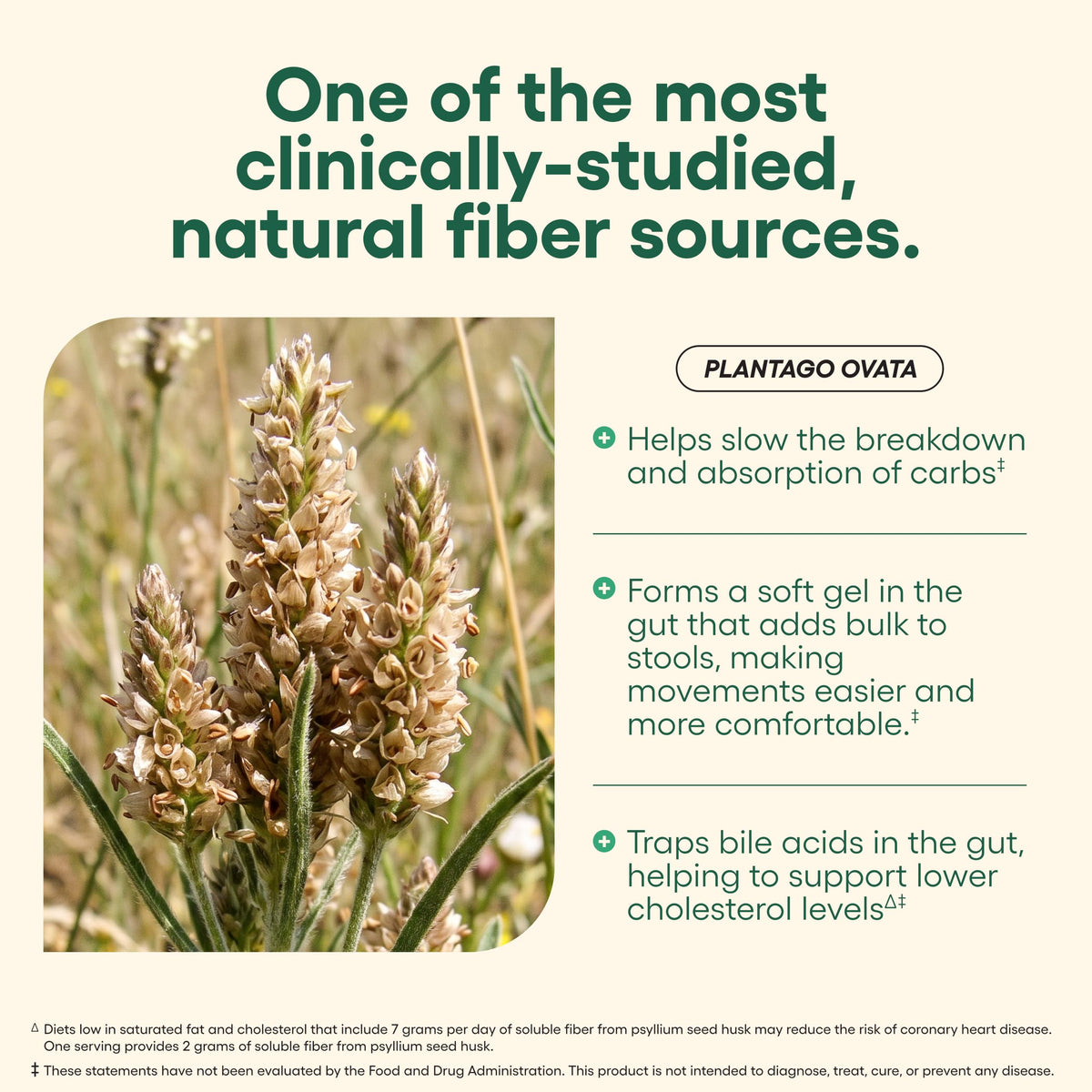 Vegan Psyllium Husk Fiber 300 Capsules V973