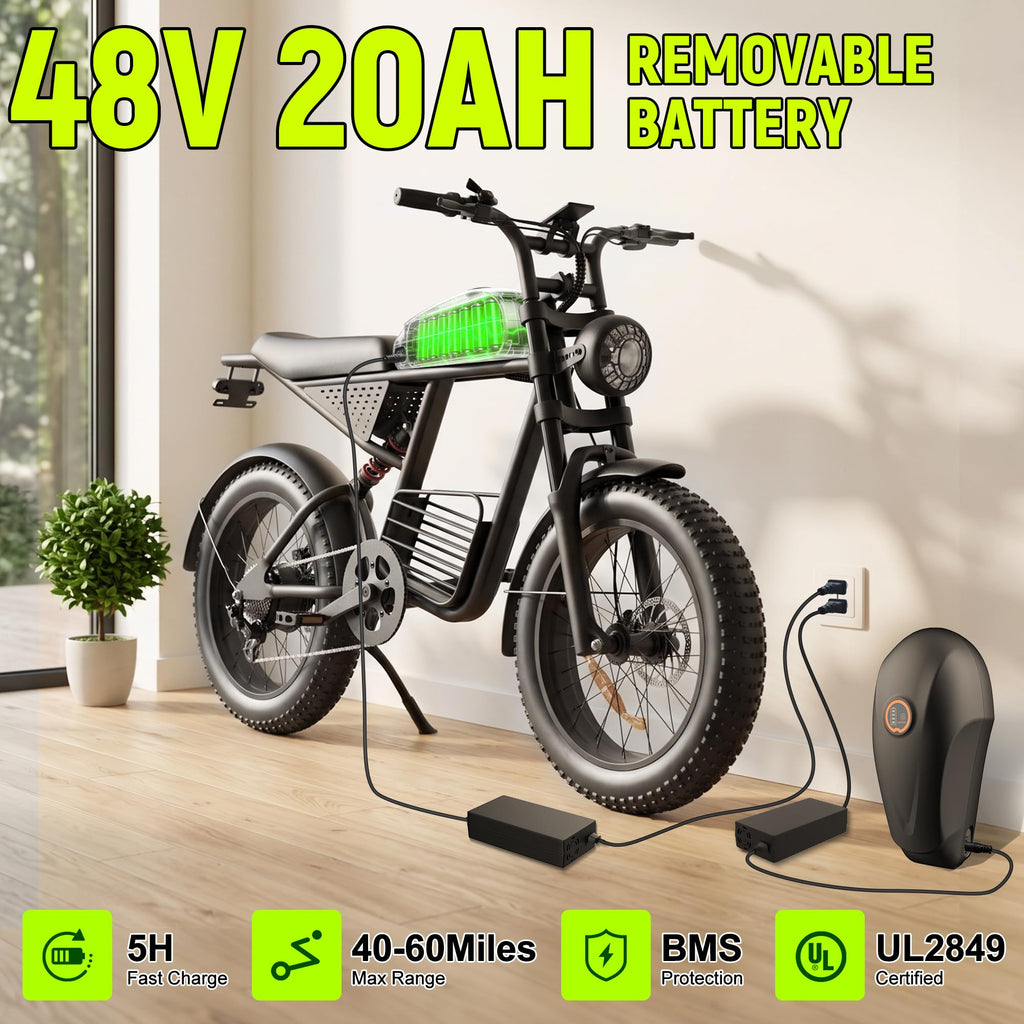 1500W 48V 20Ah Electric Bike V151074