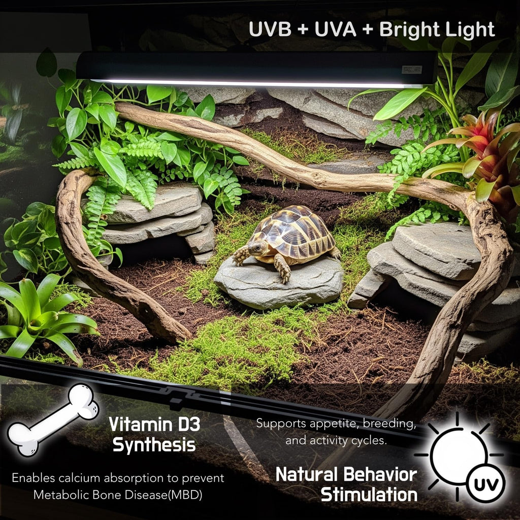 10.0 UVB 8W Fluorescent Lamp and Fixture Kit L327611
