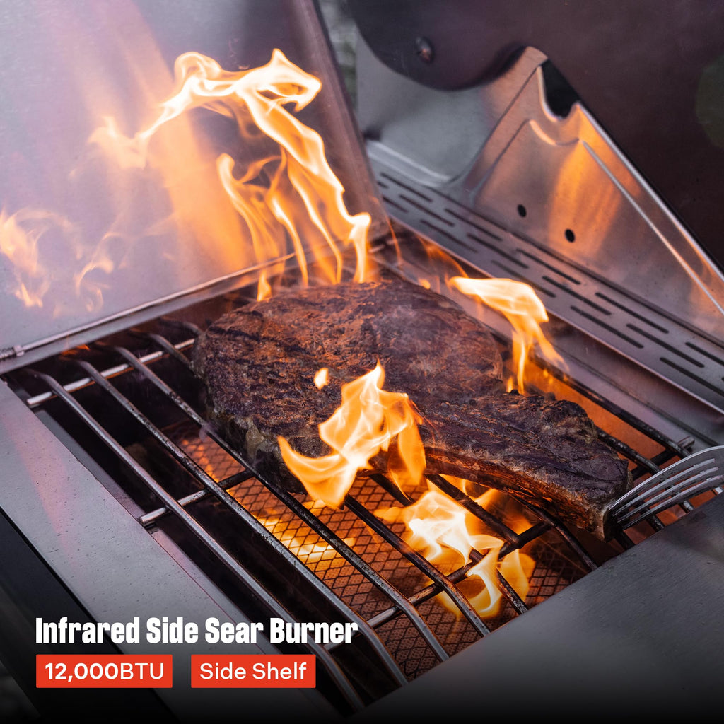 4+2 Burner Propane Gas Grill Stainless Steel S806