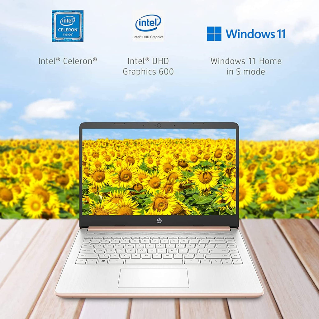 14'' HD Laptop Intel Celeron 4GB 64GB eMMC Pink Gold Y58968