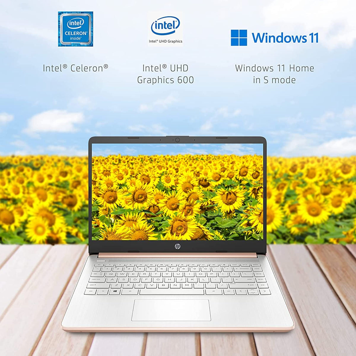 14'' HD Laptop Intel Celeron 4GB 64GB eMMC Pink Gold Y58968