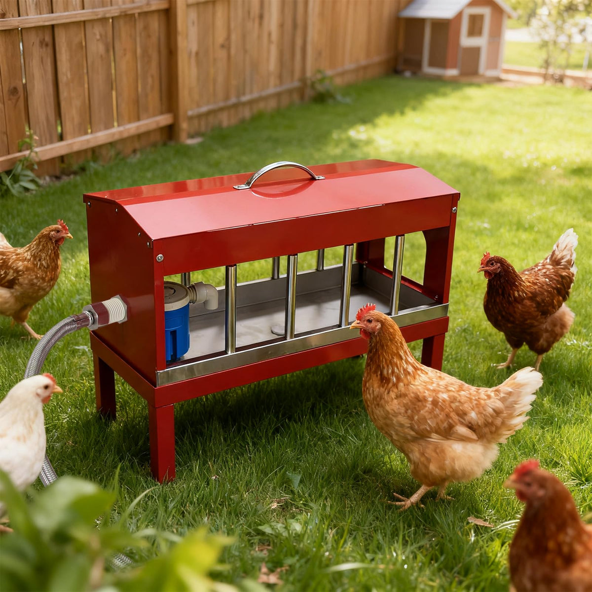 Automatic Chicken Waterer with Detachable Legs R493689
