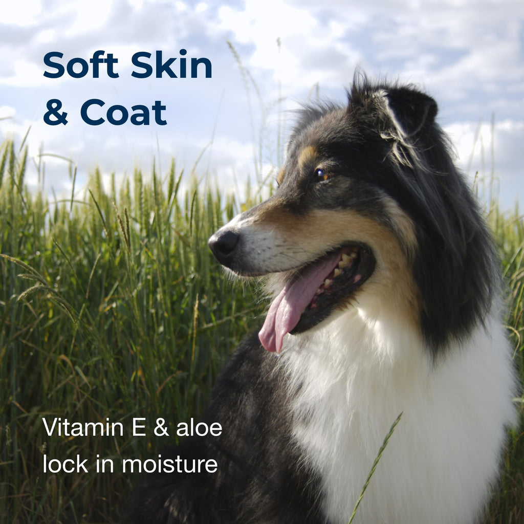 Linen Scented Shampoo 1 Gallon with Vitamin E & Aloe Vera A631