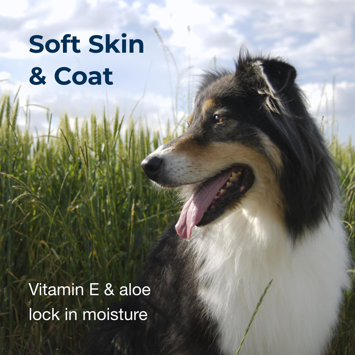 Linen Scented Shampoo 1 Gallon with Vitamin E & Aloe Vera A631