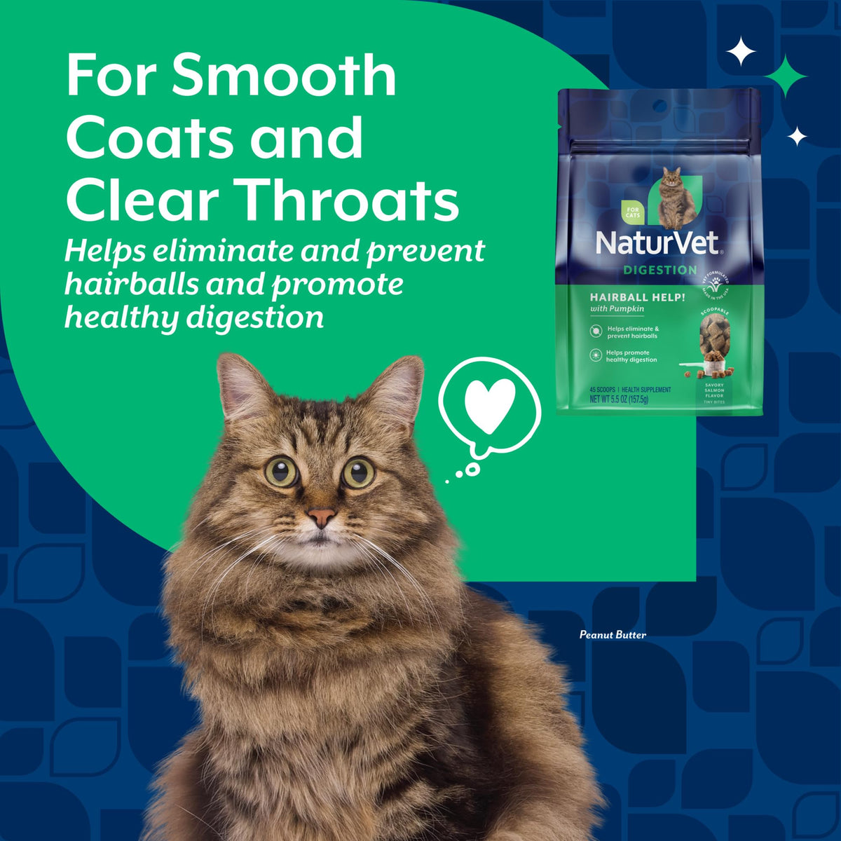 Hairball Aid Scoopable Supplement for Cats 5.5oz R9198