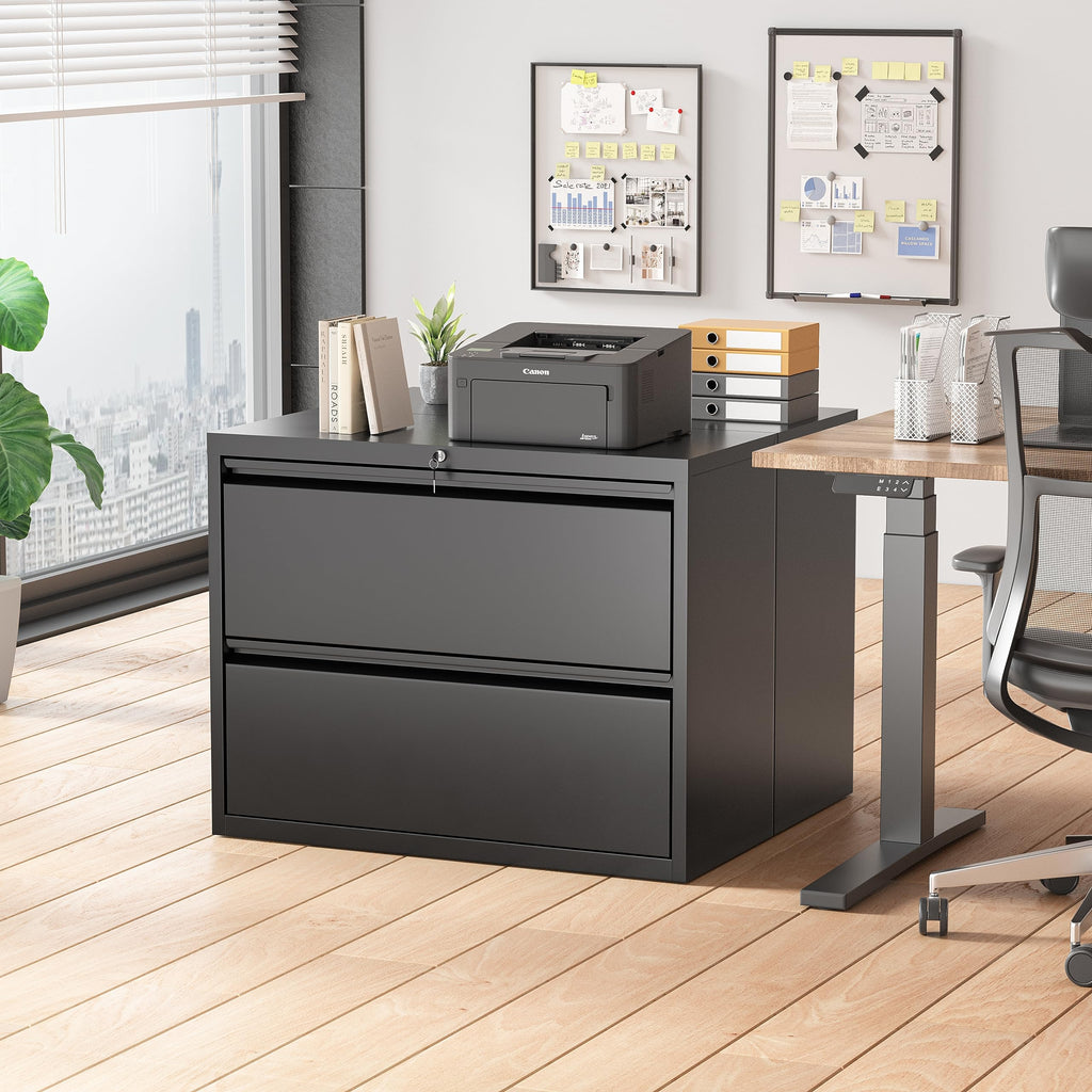 Black 2 Drawer Metal File Cabinet with Lock W71473