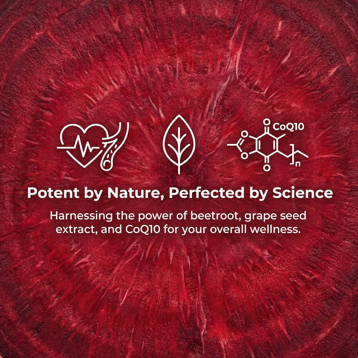 Beet Chews with Grape Seed Extract & CoQ10 - 60 Chews T786